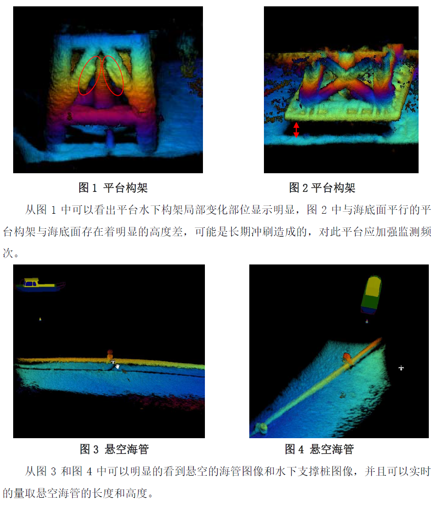 英國CodaOctopus公司的Echoscope?實時3D聲吶