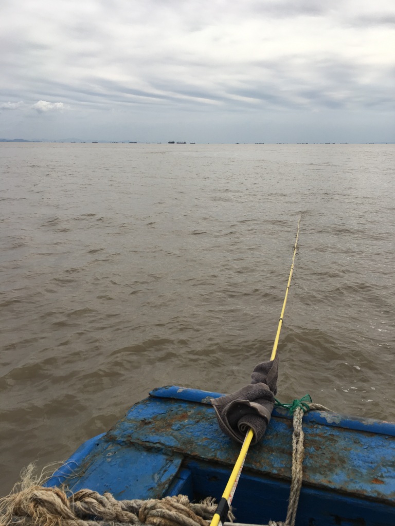 國產海洋磁力儀和地磁日變站