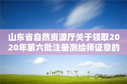 山東省自然資源廳關(guān)于領(lǐng)取2020年第六批注冊(cè)測(cè)繪師證章的公告