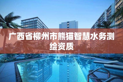 廣西省柳州市熊貓智慧水務測繪資質