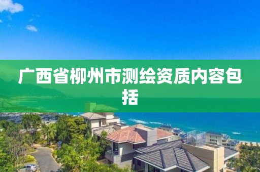 廣西省柳州市測(cè)繪資質(zhì)內(nèi)容包括