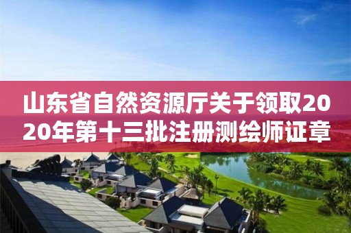 山東省自然資源廳關于領取2020年第十三批注冊測繪師證章的公告