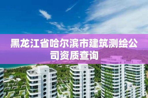 黑龍江省哈爾濱市建筑測繪公司資質查詢