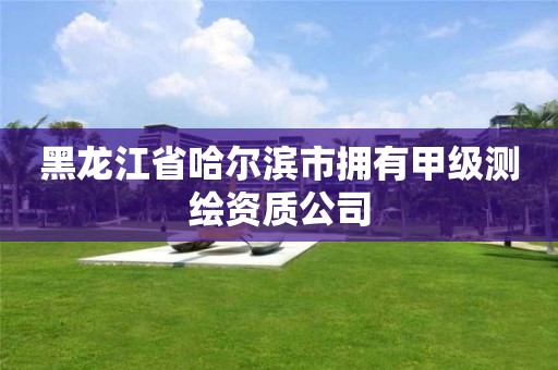 黑龍江省哈爾濱市擁有甲級測繪資質(zhì)公司