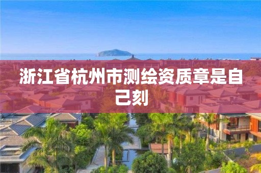 浙江省杭州市測繪資質章是自己刻