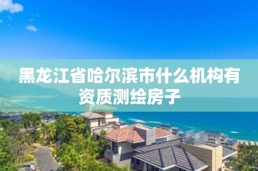 黑龍江省哈爾濱市什么機構有資質測繪房子