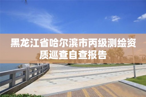 黑龍江省哈爾濱市丙級測繪資質巡查自查報告