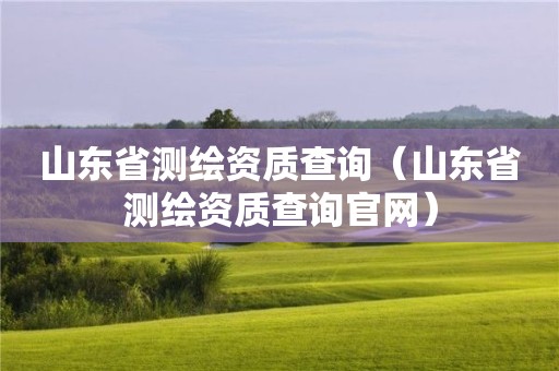 山東省測繪資質查詢（山東省測繪資質查詢官網）