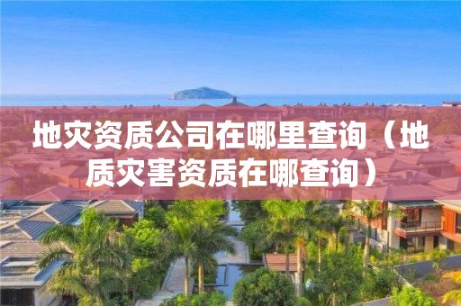 地災資質公司在哪里查詢（地質災害資質在哪查詢）