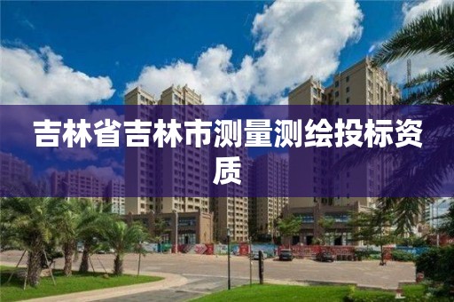 吉林省吉林市測量測繪投標(biāo)資質(zhì)