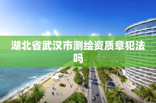 湖北省武漢市測繪資質章犯法嗎