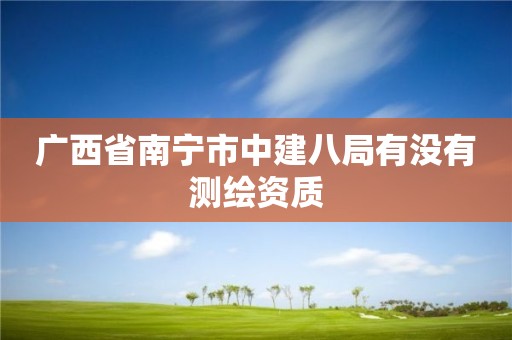 廣西省南寧市中建八局有沒有測繪資質