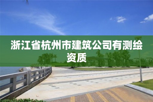 浙江省杭州市建筑公司有測繪資質