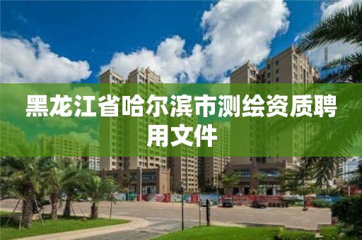 黑龍江省哈爾濱市測繪資質聘用文件