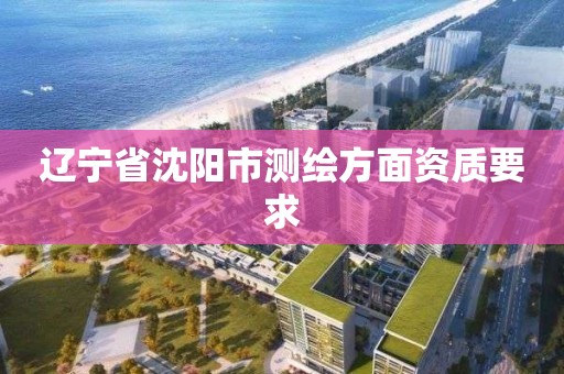 遼寧省沈陽市測繪方面資質要求