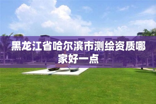 黑龍江省哈爾濱市測繪資質哪家好一點