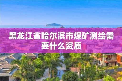 黑龍江省哈爾濱市煤礦測繪需要什么資質