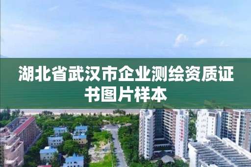 湖北省武漢市企業(yè)測繪資質(zhì)證書圖片樣本