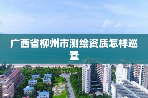 廣西省柳州市測繪資質怎樣巡查