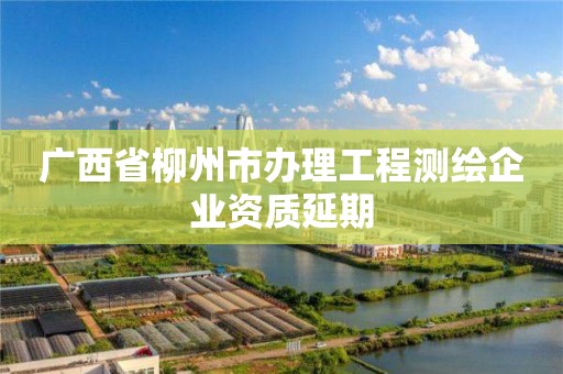 廣西省柳州市辦理工程測(cè)繪企業(yè)資質(zhì)延期