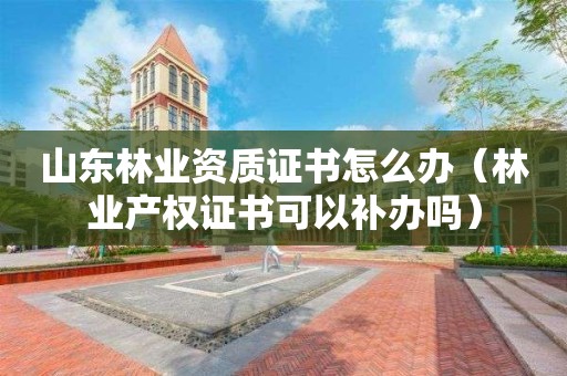 山東林業資質證書怎么辦（林業產權證書可以補辦嗎）