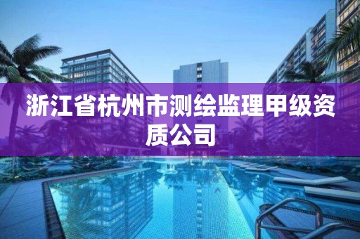 浙江省杭州市測繪監理甲級資質公司