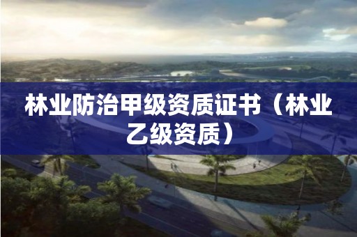 林業(yè)防治甲級資質(zhì)證書（林業(yè)乙級資質(zhì)）