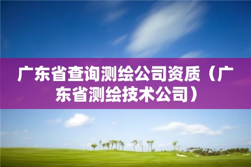 廣東省查詢測繪公司資質（廣東省測繪技術公司）