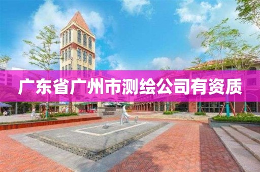 廣東省廣州市測(cè)繪公司有資質(zhì)