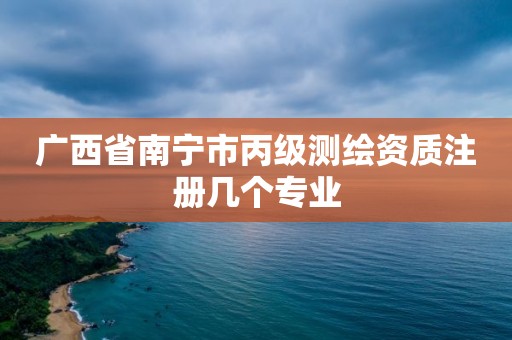 廣西省南寧市丙級測繪資質(zhì)注冊幾個專業(yè)