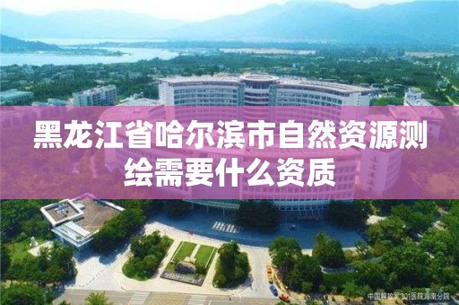 黑龍江省哈爾濱市自然資源測繪需要什么資質(zhì)