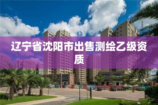 遼寧省沈陽市出售測繪乙級資質