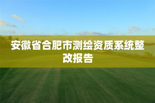 安徽省合肥市測繪資質系統整改報告