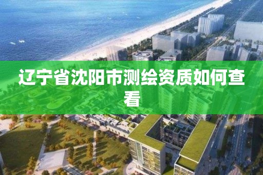 遼寧省沈陽市測繪資質如何查看