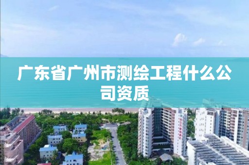 廣東省廣州市測繪工程什么公司資質