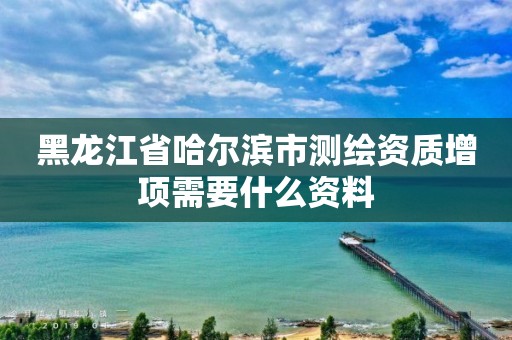 黑龍江省哈爾濱市測繪資質增項需要什么資料