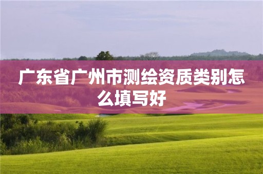 廣東省廣州市測(cè)繪資質(zhì)類別怎么填寫好