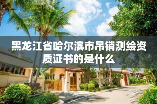 黑龍江省哈爾濱市吊銷測繪資質證書的是什么