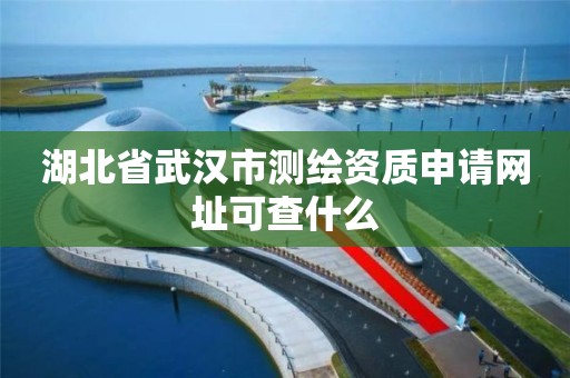 湖北省武漢市測繪資質申請網址可查什么