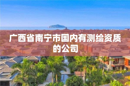 廣西省南寧市國內(nèi)有測繪資質(zhì)的公司