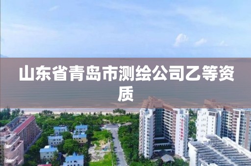 山東省青島市測繪公司乙等資質