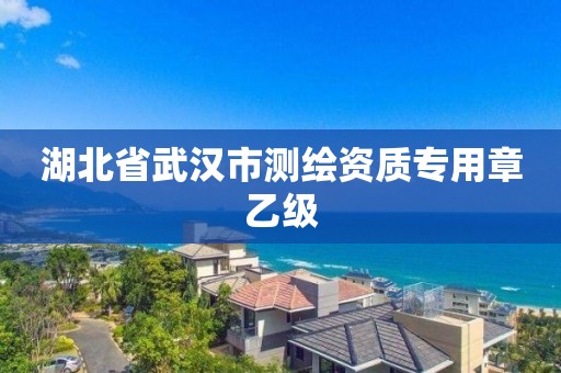 湖北省武漢市測繪資質(zhì)專用章乙級