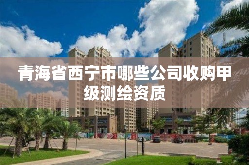 青海省西寧市哪些公司收購甲級測繪資質