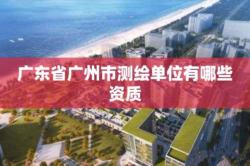 廣東省廣州市測繪單位有哪些資質