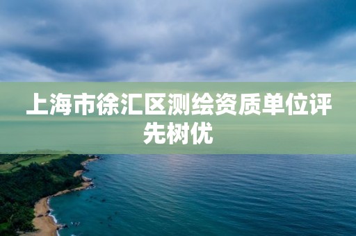 上海市徐匯區(qū)測繪資質單位評先樹優(yōu)