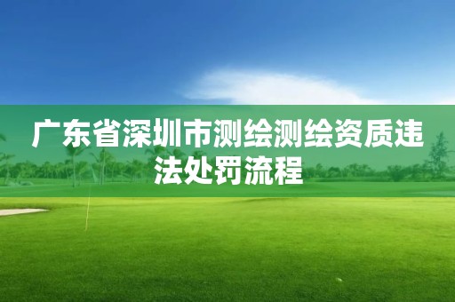 廣東省深圳市測繪測繪資質違法處罰流程