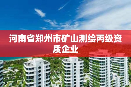 河南省鄭州市礦山測繪丙級資質(zhì)企業(yè)