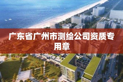 廣東省廣州市測繪公司資質專用章