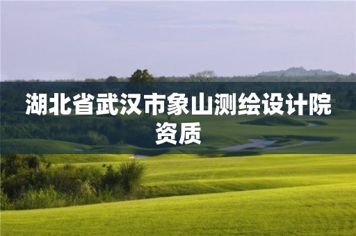 湖北省武漢市象山測繪設(shè)計(jì)院資質(zhì)