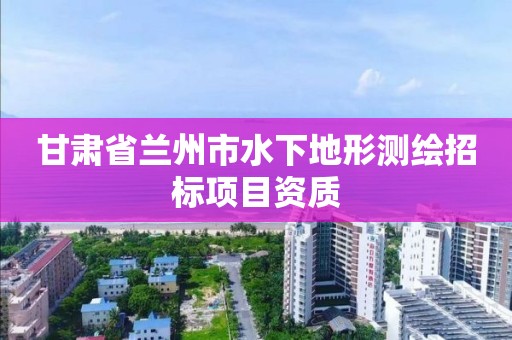 甘肅省蘭州市水下地形測繪招標項目資質